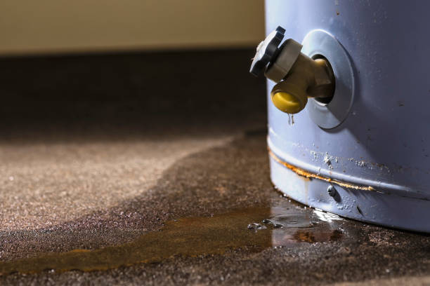 Best Professional water damage repair  in Midway, NC