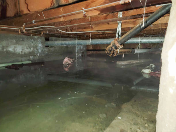 Best Residential water damage restoration  in Midway, NC