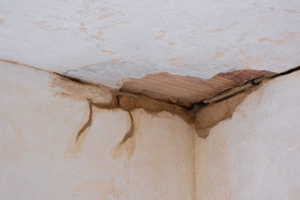 Best Sewage cleanup and water damage restoration  in Midway, NC