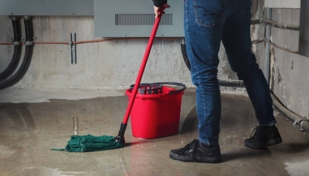 Best Flooded house restoration  in Midway, NC