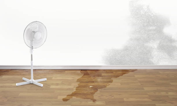 Best Professional water damage repair  in Midway, NC