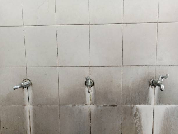 Best Water damage mitigation services  in Midway, NC